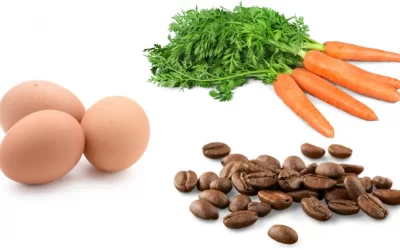 CARROT… EGG… COFFEE BEAN